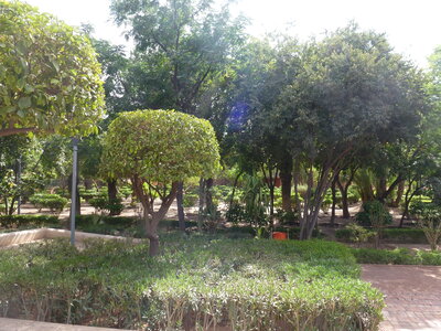 Découverte Essaouira août 2013, P1000778