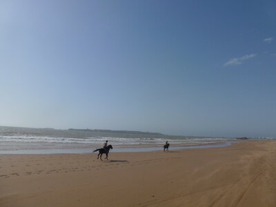 Découverte Essaouira août 2013, P1000802