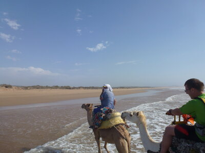 Découverte Essaouira août 2013, P1000808