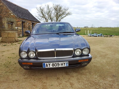 Jaguar, 20130215_165548