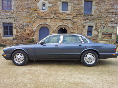 Jaguar, 20130215_165529