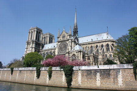 Paris, notre dame-3