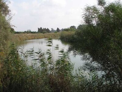 Mikhmoret, view