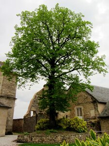 Bournazel (Aveyron) mai 2013, IMG_1574