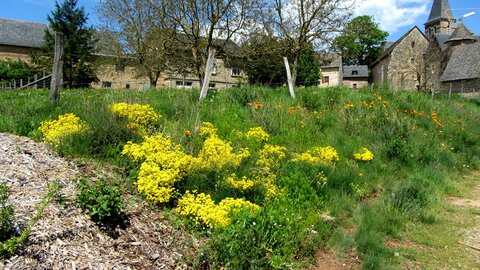 Bournazel (Aveyron) mai 2013, IMG_1683