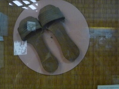 Les castors - Waeselynck - Inde, P1050674