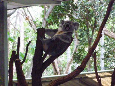 Australia 2013, P1000156