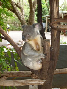 Australia 2013, P1000154