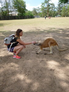 Australia 2013, P1000145