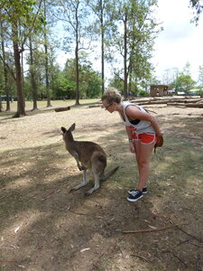 Australia 2013, P1000127