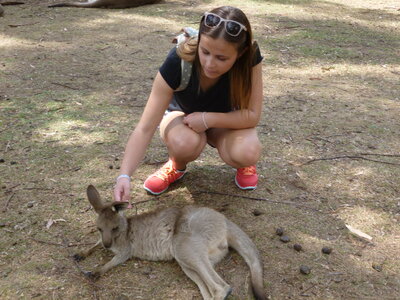 Australia 2013, P1000131
