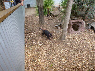 Australia 2013, P1000104