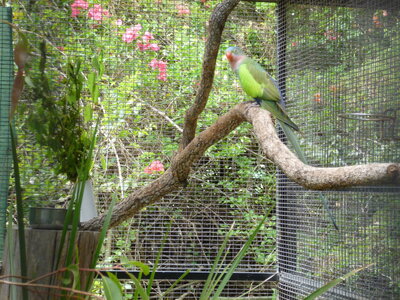Australia 2013, P1000103