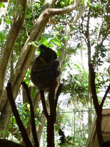 Australia 2013, P1000099