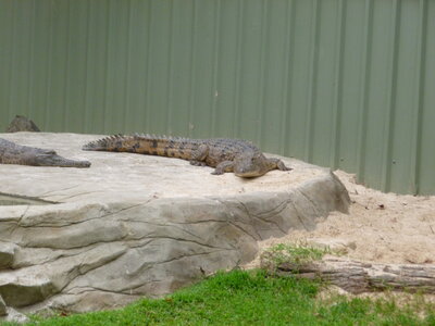Australia 2013, P1000085