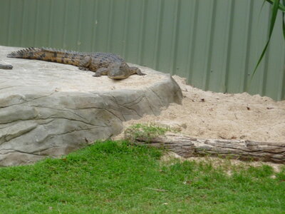 Australia 2013, P1000084