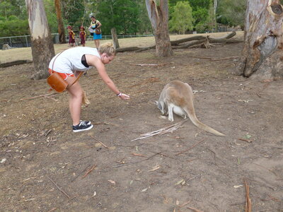Australia 2013, P1000080