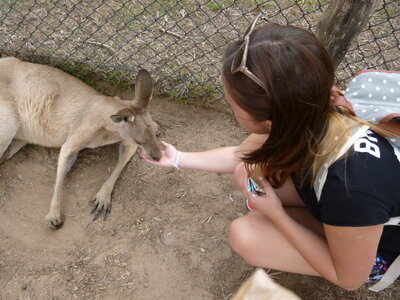 Australia 2013, P1000070