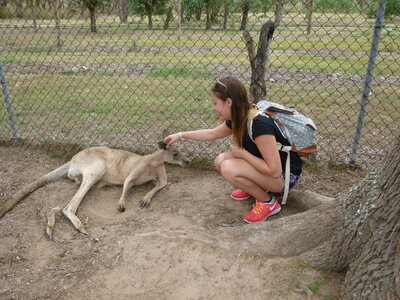 Australia 2013, P1000068