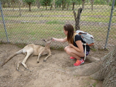 Australia 2013, P1000067