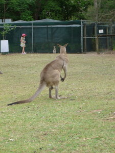 Australia 2013, P1000060