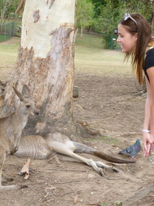 Australia 2013, P1000056
