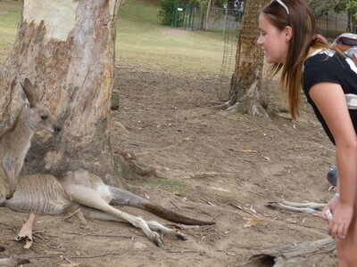 Australia 2013, P1000055