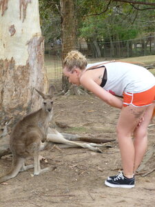 Australia 2013, P1000052
