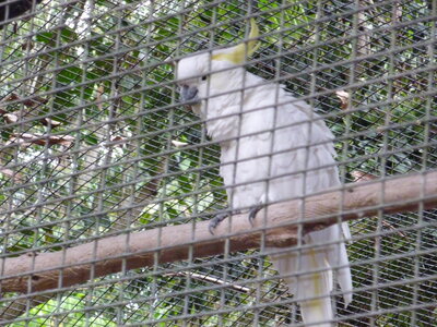 Australia 2013, P1000041