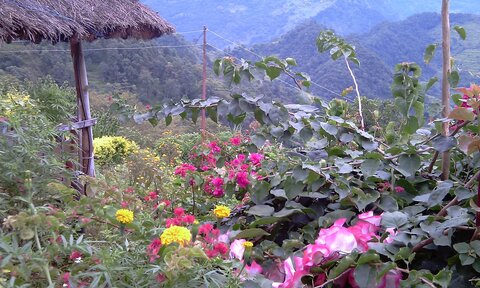 2013 Octobre Annapurnas , 13J085bhb
