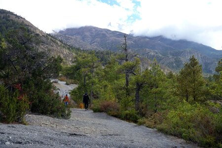 2013 Octobre Annapurnas , 13J198nga