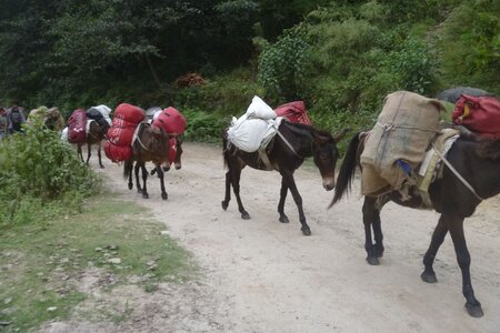 2013 Octobre Annapurnas , 13J101san