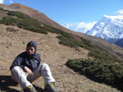 2013 Octobre Annapurnas , 13J287yak