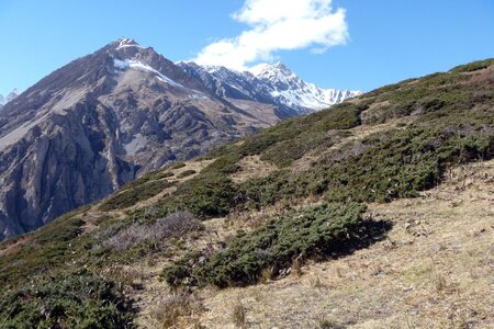 2013 Octobre Annapurnas , 13J292yak
