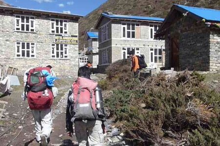 2013 Octobre Annapurnas , 13J283yak