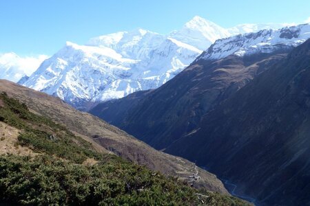 2013 Octobre Annapurnas , 13J288yak