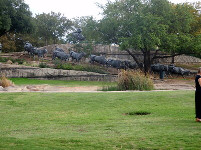 voyage texas, dallas 019