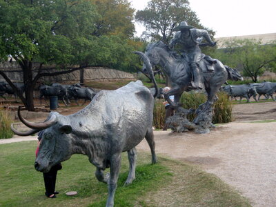 voyage texas, dallas 020