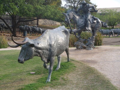 voyage texas, dallas 021