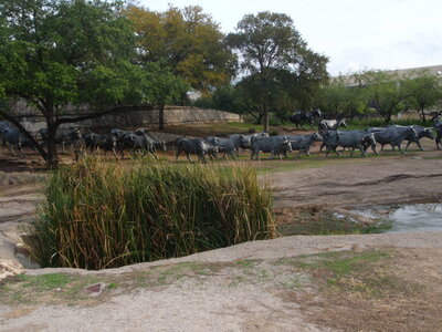 voyage texas, dallas 023