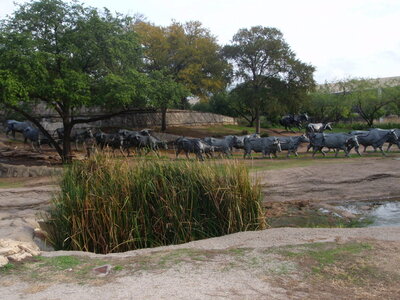 voyage texas, dallas 024