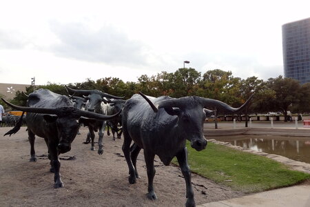 voyage texas, dallas 094