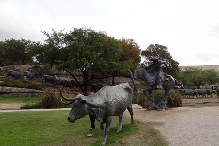 voyage texas, dallas 096