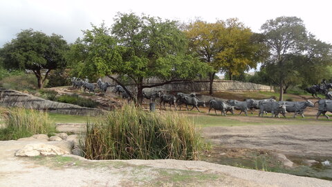 voyage texas, dallas 098