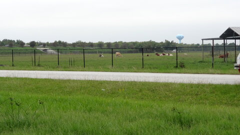 voyage texas, houston 123