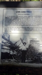 voyage texas, san antonio 025
