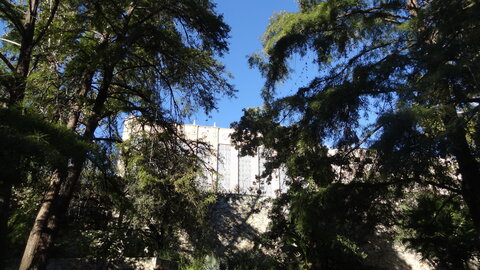 voyage texas, san antonio 054