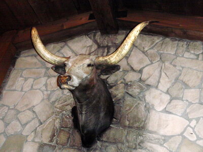 voyage texas, texas 013