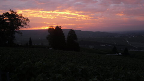 Vendanges Corinne, SDC12968