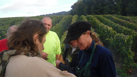 Vendanges Corinne, SDC12973